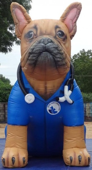 Black Blue White Custom Inflatable
