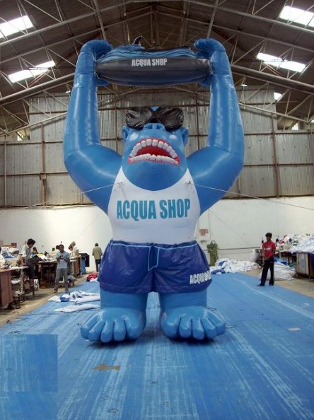 Blue White Custom Acqua Shop Inflatables