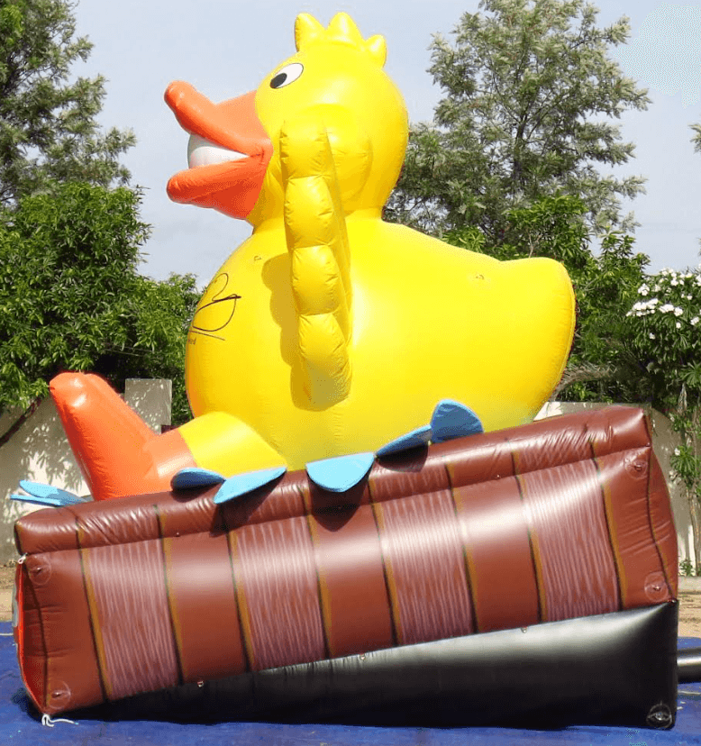 Custom Duck Hot Spring 2