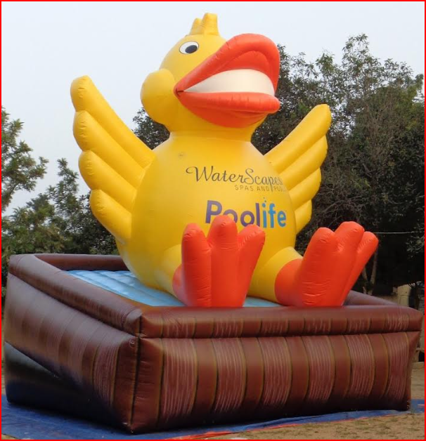 Custom Inflatable Duck for Spa and Pool Retail Store