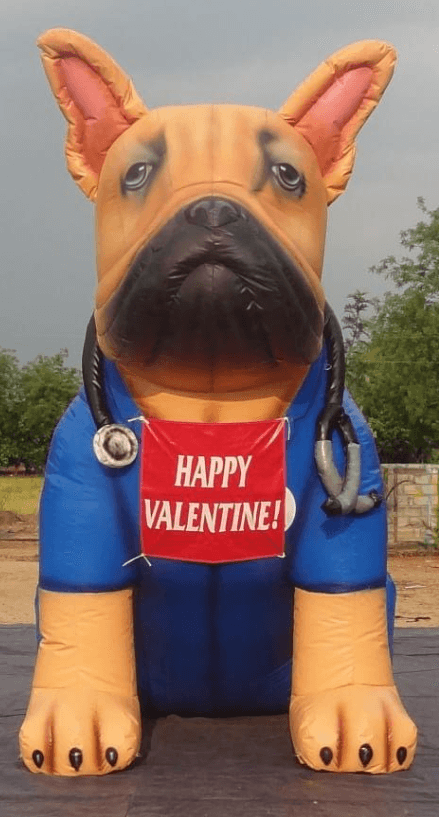 French Bulldog Custom