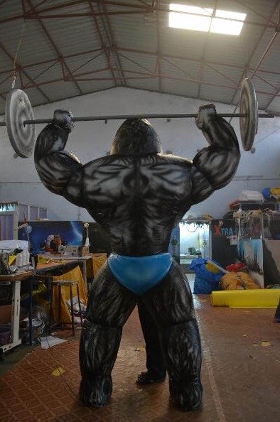 Gorilla Pic 3
