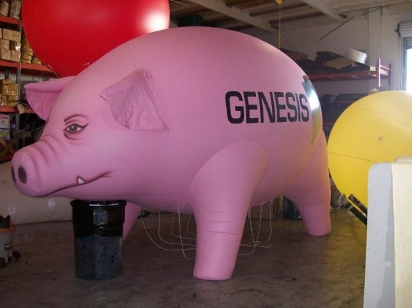 Pink Genesis Custom Inflatables