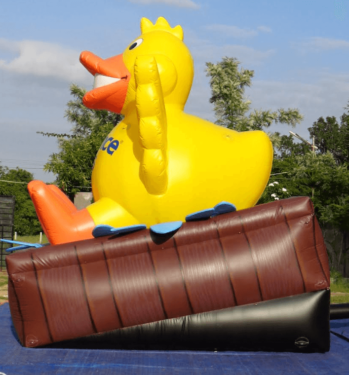 Sds Duck 2
