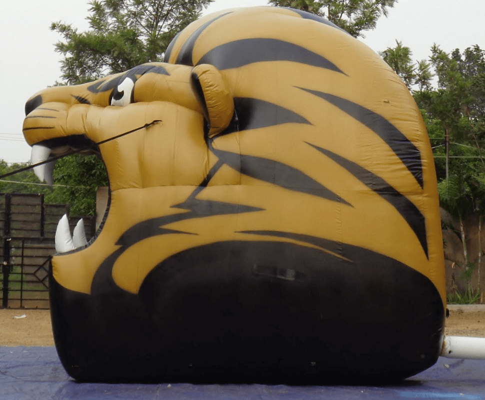 Fb Lion Head 1