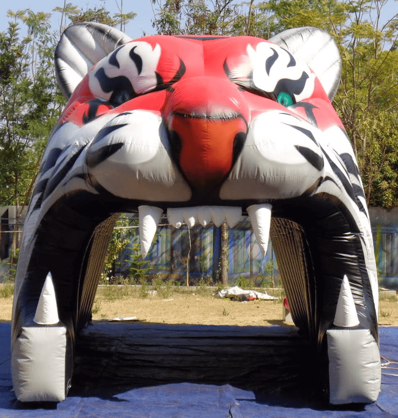 Fb Tigers 2