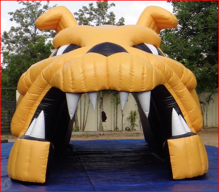 Gold Bulldog Mascot Head Football Tunnel Entrance
