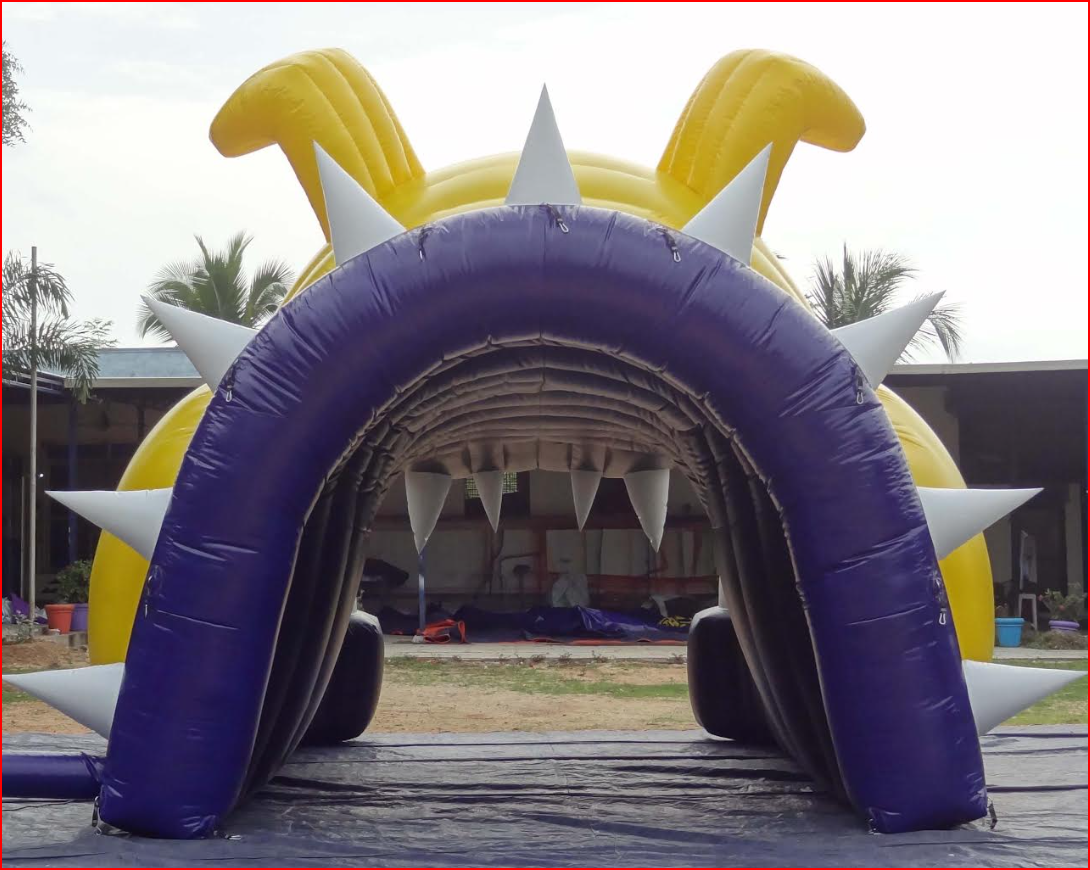 Bulldog Mascot Football Tunnel Rear View